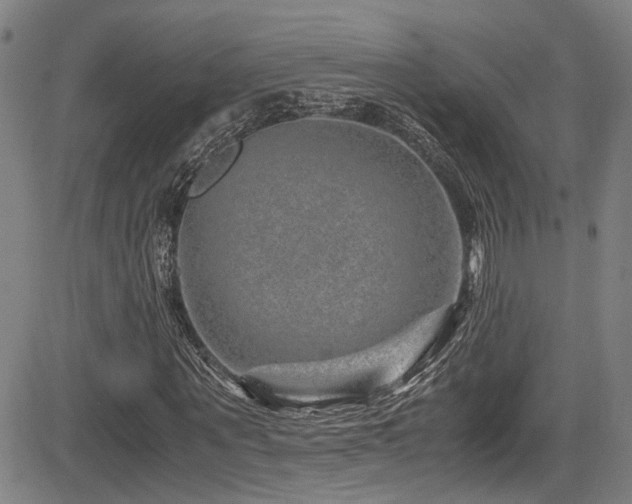 X0000083580867200702091116
