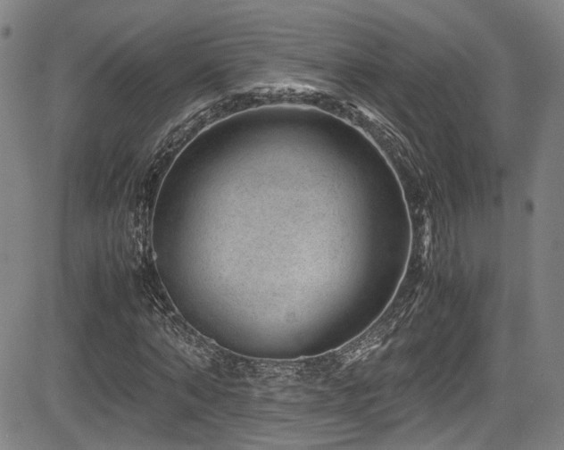 X0000083580870200702091116