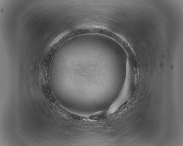 X0000083580871200702091116