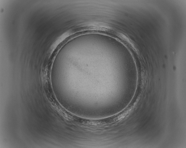 X0000083580875200702091116