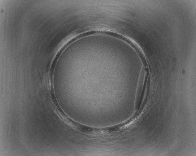 X0000083580887200702091116