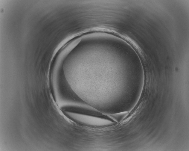 X0000083580902200702091115