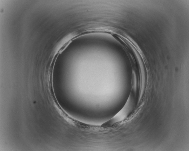 X0000083580909200702091115