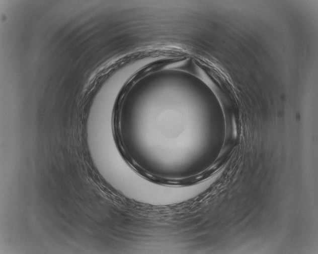 X0000083580920200702091115