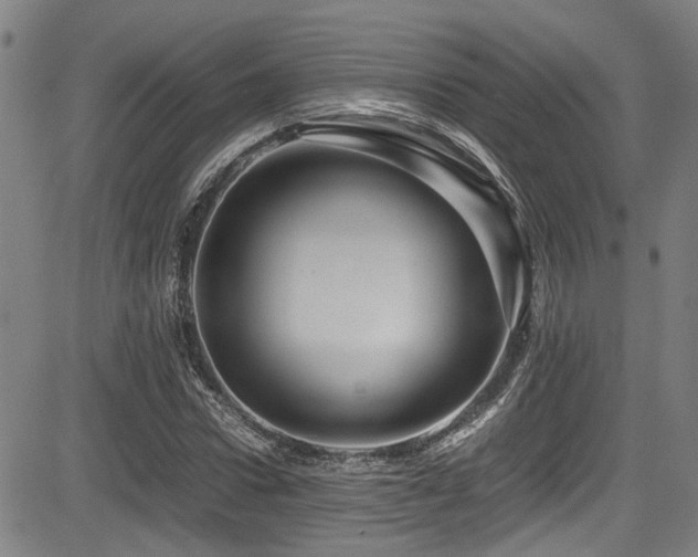 X0000083580922200702091115