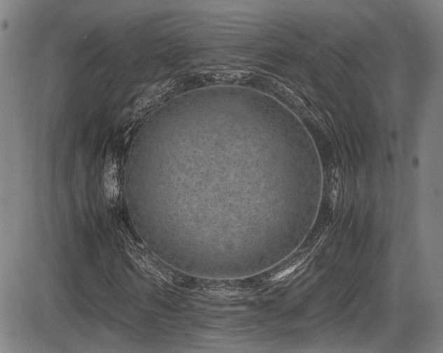 X0000083580962200702091114