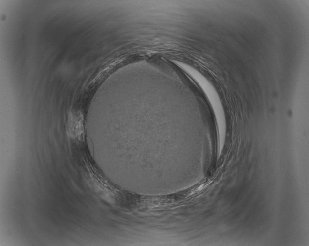 X0000083580963200702091114