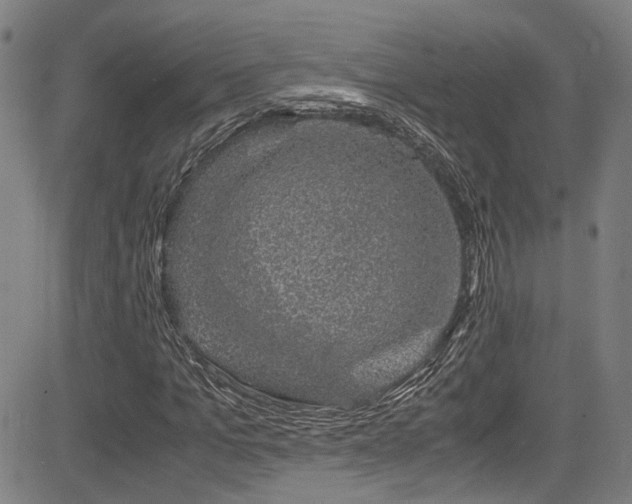 X0000083580965200702091114