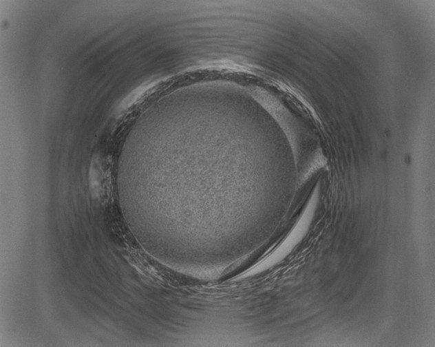 X0000083580968200702091114