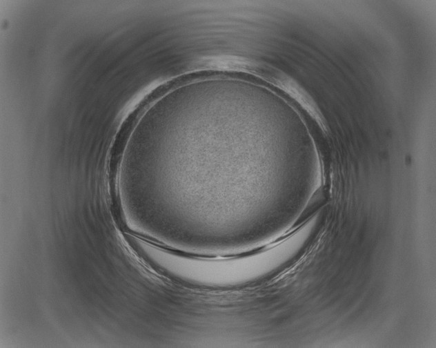 X0000083580972200702091114