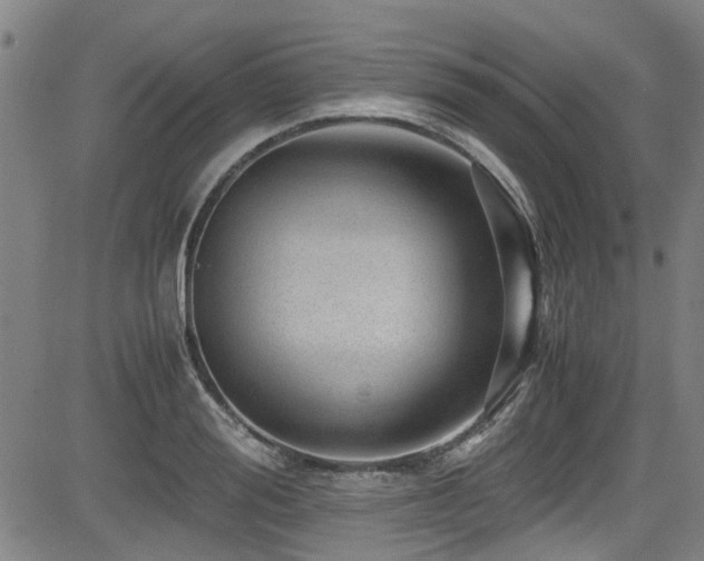 X0000083580988200702091114