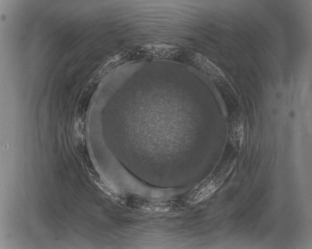 X0000083581010200702091113