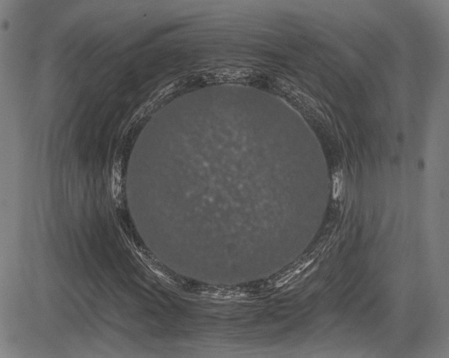 X0000083581011200702091113