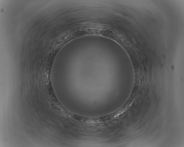 X0000083581013200702091113