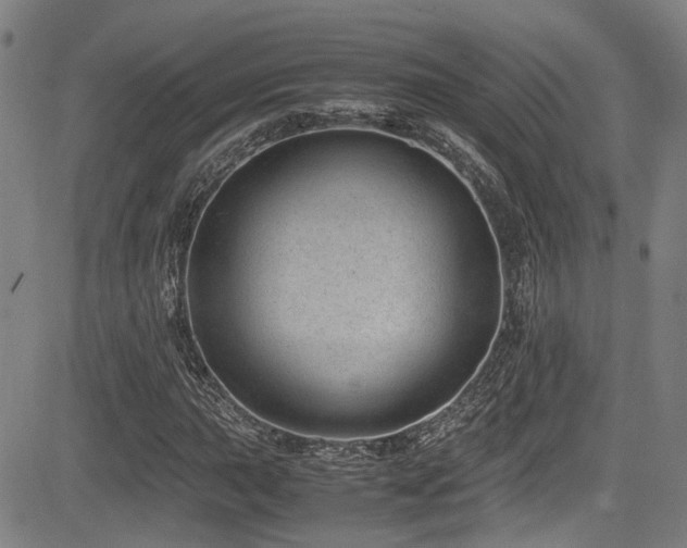 X0000083581015200702091113