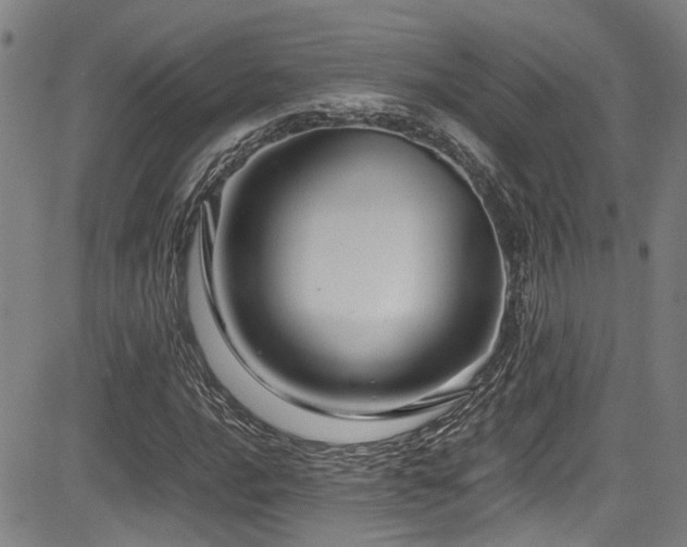 X0000083581016200702091113