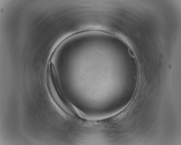 X0000083581056200702091114