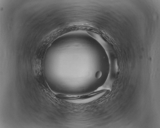X0000083581062200702091113