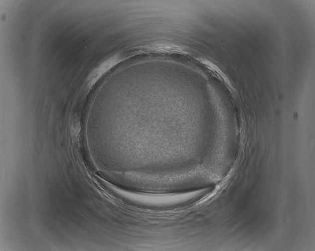X0000083581065200702091113
