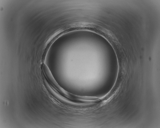 X0000083581073200702091113