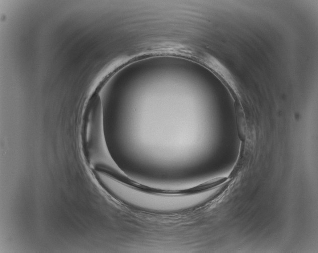 X0000083581093200702091112