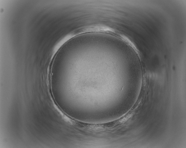X0000083581103200702091112