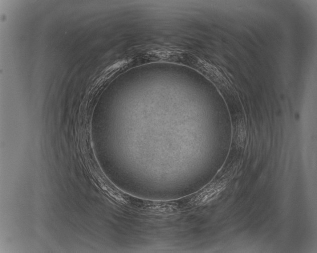 X0000083581105200702091111