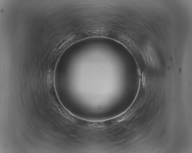 X0000083581107200702091111
