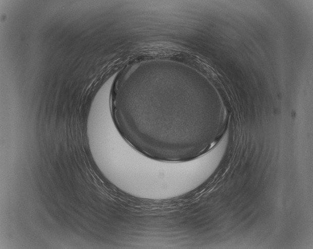 X0000083581108200702091111