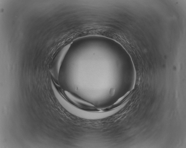 X0000083581109200702091111
