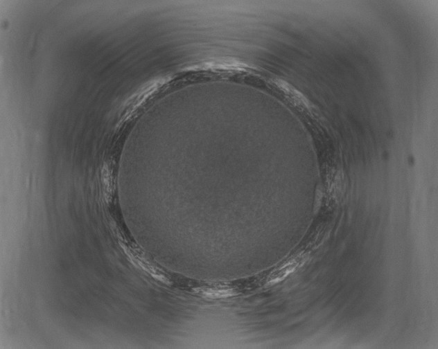 X0000083581110200702091111
