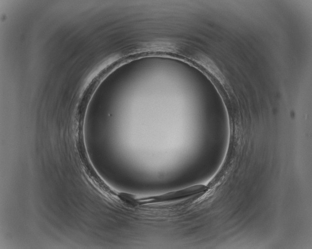 X0000083581119200702091112