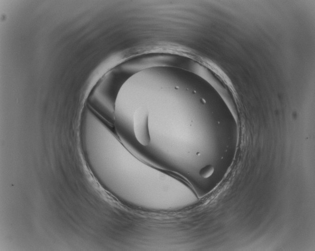 X0000083581138200702091112