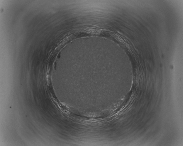 X0000083581154200702091111