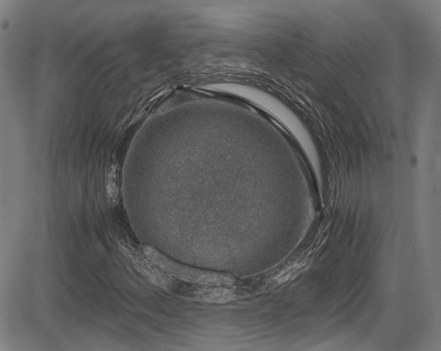 X0000083581156200702091111