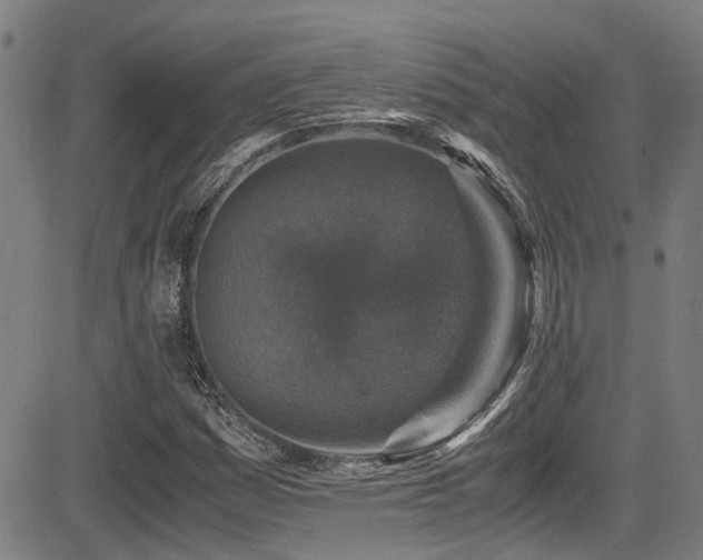 X0000083581161200702091111