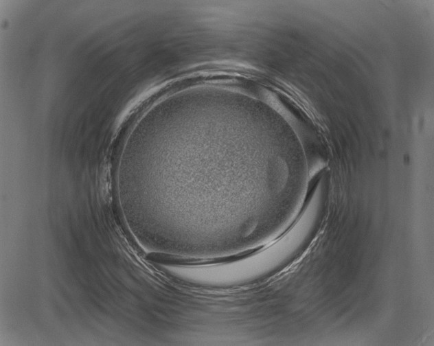 X0000083581164200702091111