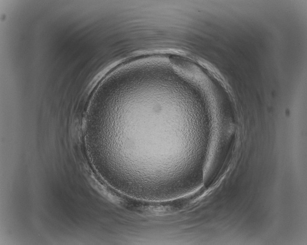 X0000083581177200702091111