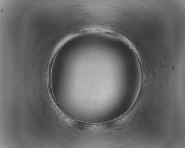 X0000083581195200702091111