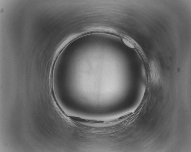 X0000083581199200702091111