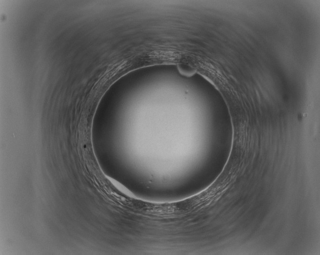 X0000083581201200702091110