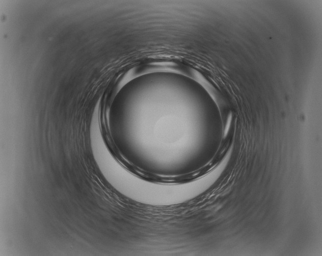 X0000083581202200702091110