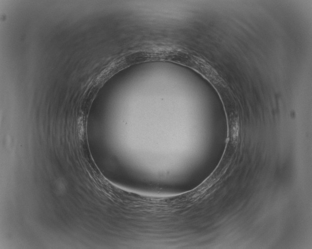 X0000083581204200702091110