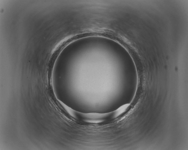 X0000083581214200702091110