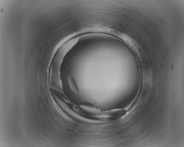 X0000083581238200702091110