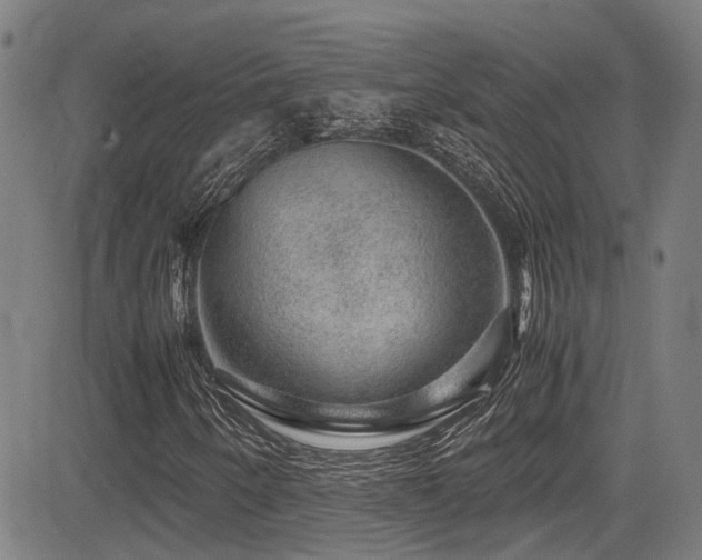 X0000083581250200702091110