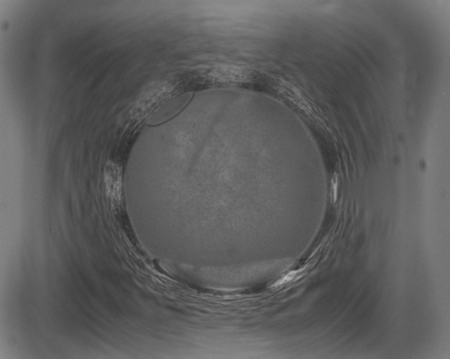 X0000083581251200702091110
