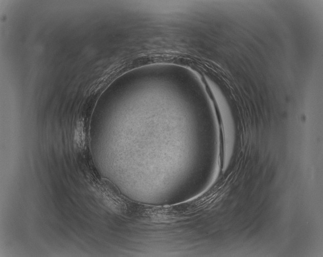 X0000083581252200702091110