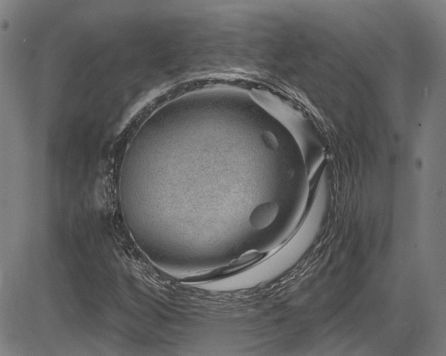 X0000083581256200702091110
