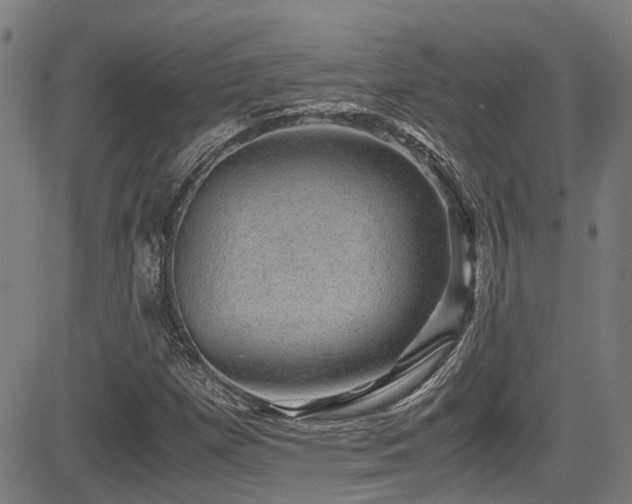 X0000083581257200702091110